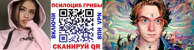 Купить где Реутов Псилоцибиновые грибы Psilocybe